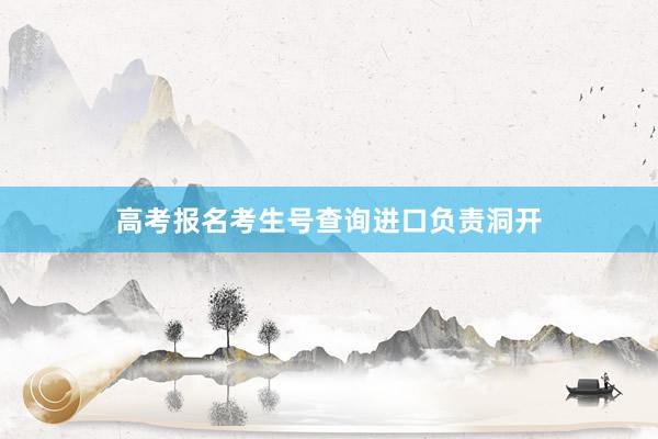 高考报名考生号查询进口负责洞开